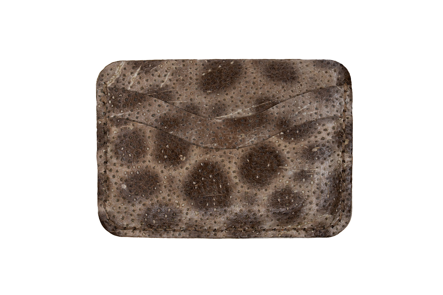 Steinbit-kortholder med 5 lommer